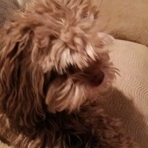 Meet your Posher, Teresa